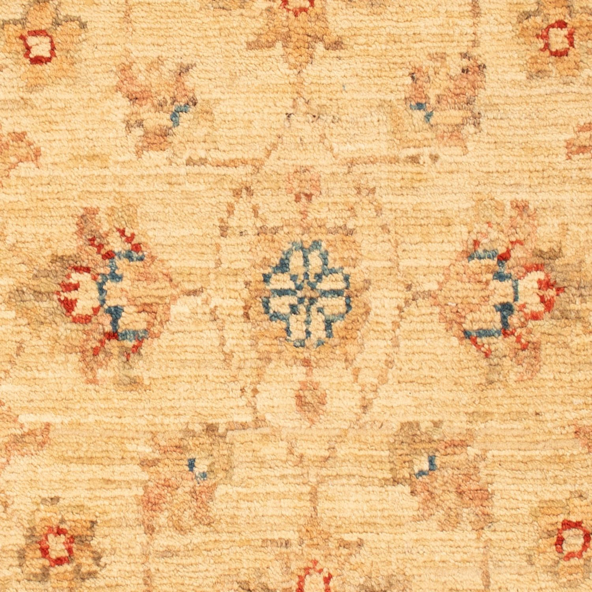 Alfombra Ziegler - 78 x 52 cm - beige