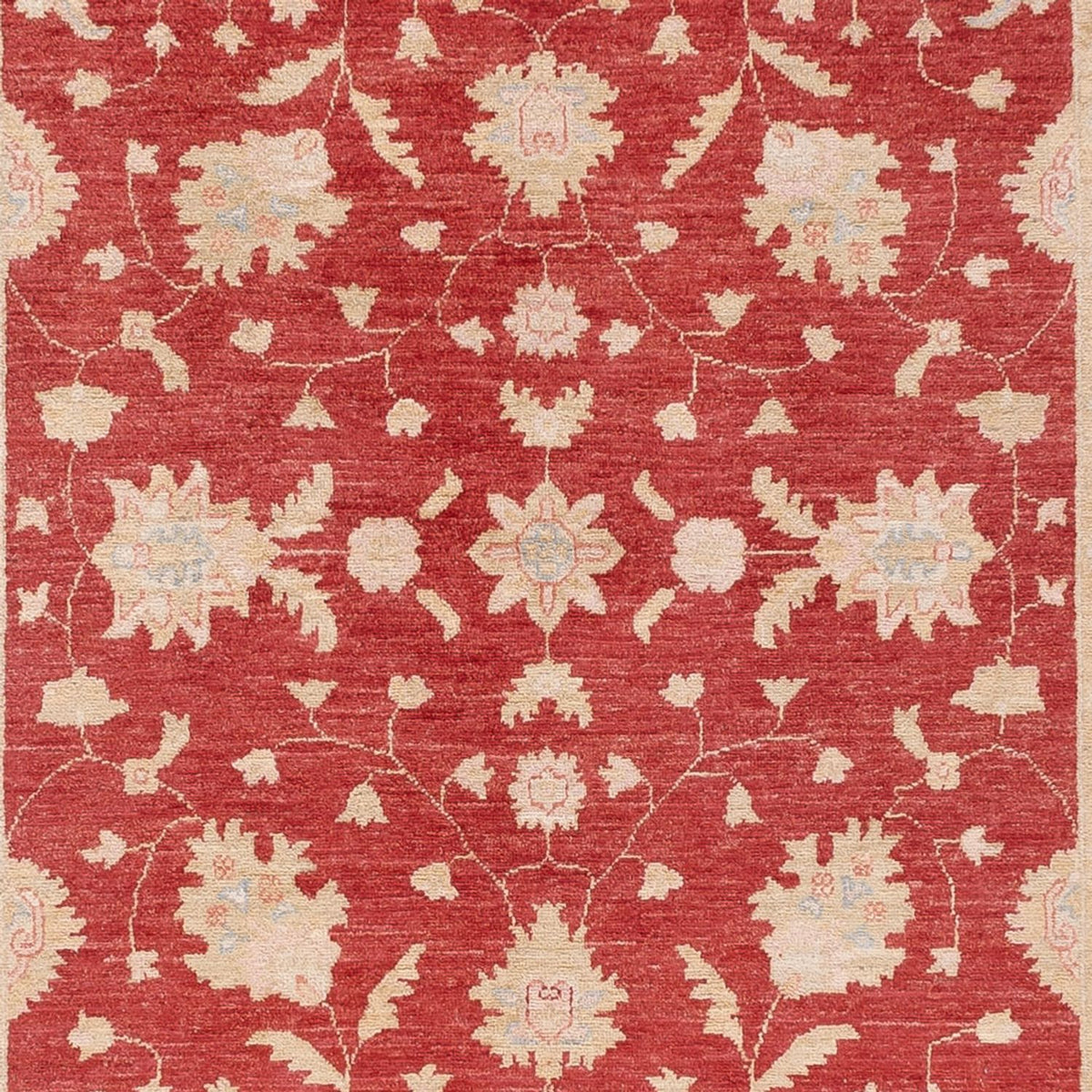 Alfombra de pasillo Alfombra Ziegler - 409 x 149 cm - rojo