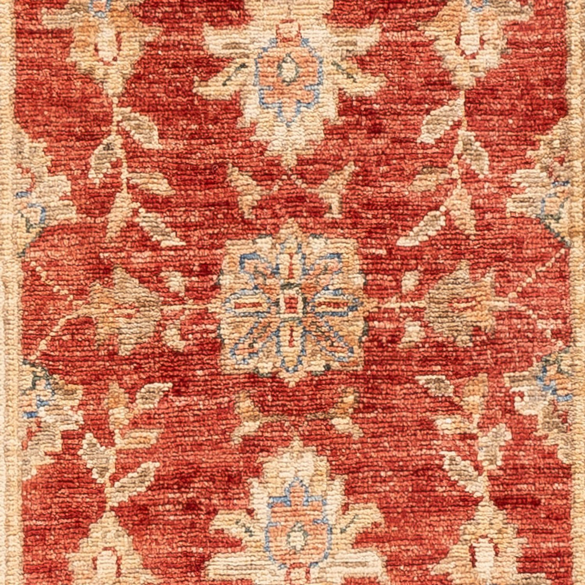Alfombra de pasillo Alfombra Ziegler - 147 x 51 cm - rojo