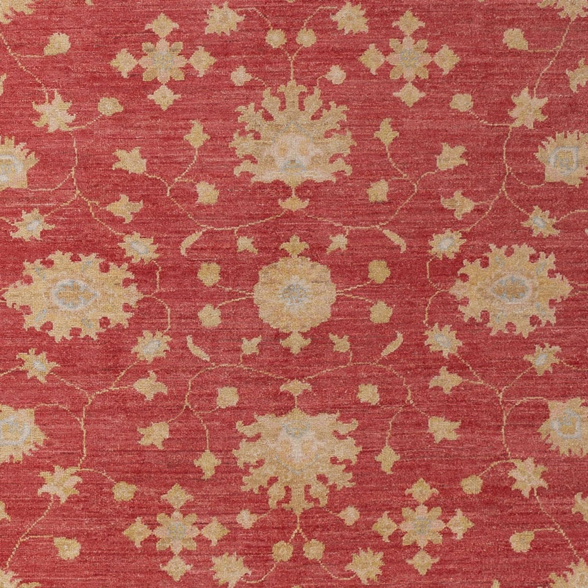 Alfombra Ziegler - 296 x 203 cm - rojo oscuro