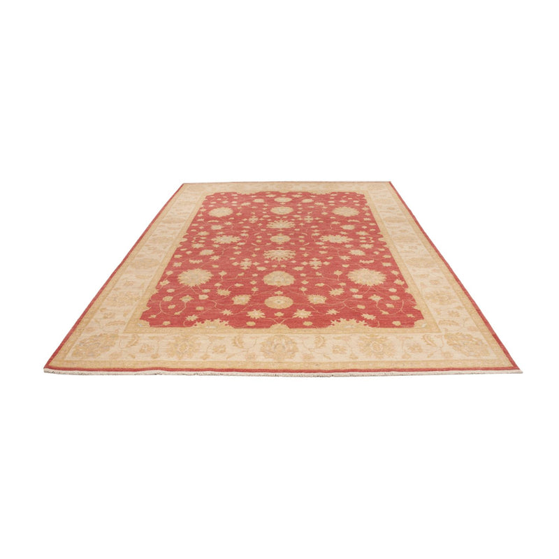 Alfombra Ziegler - 296 x 203 cm - rojo oscuro
