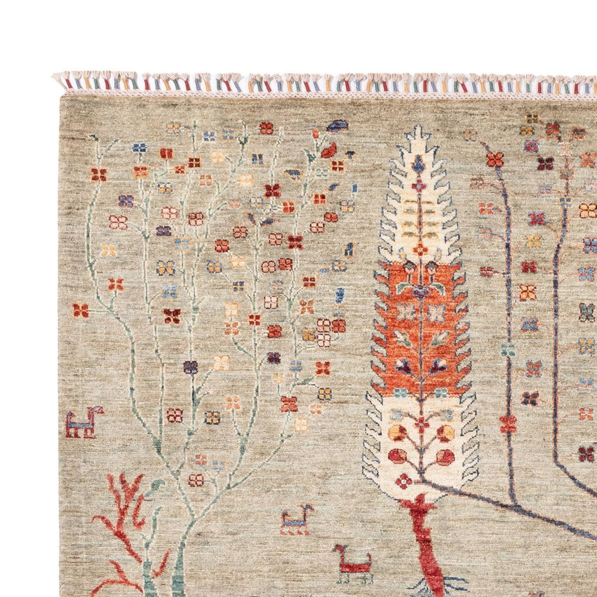 Alfombra Ziegler - Ariana - 299 x 210 cm - arena