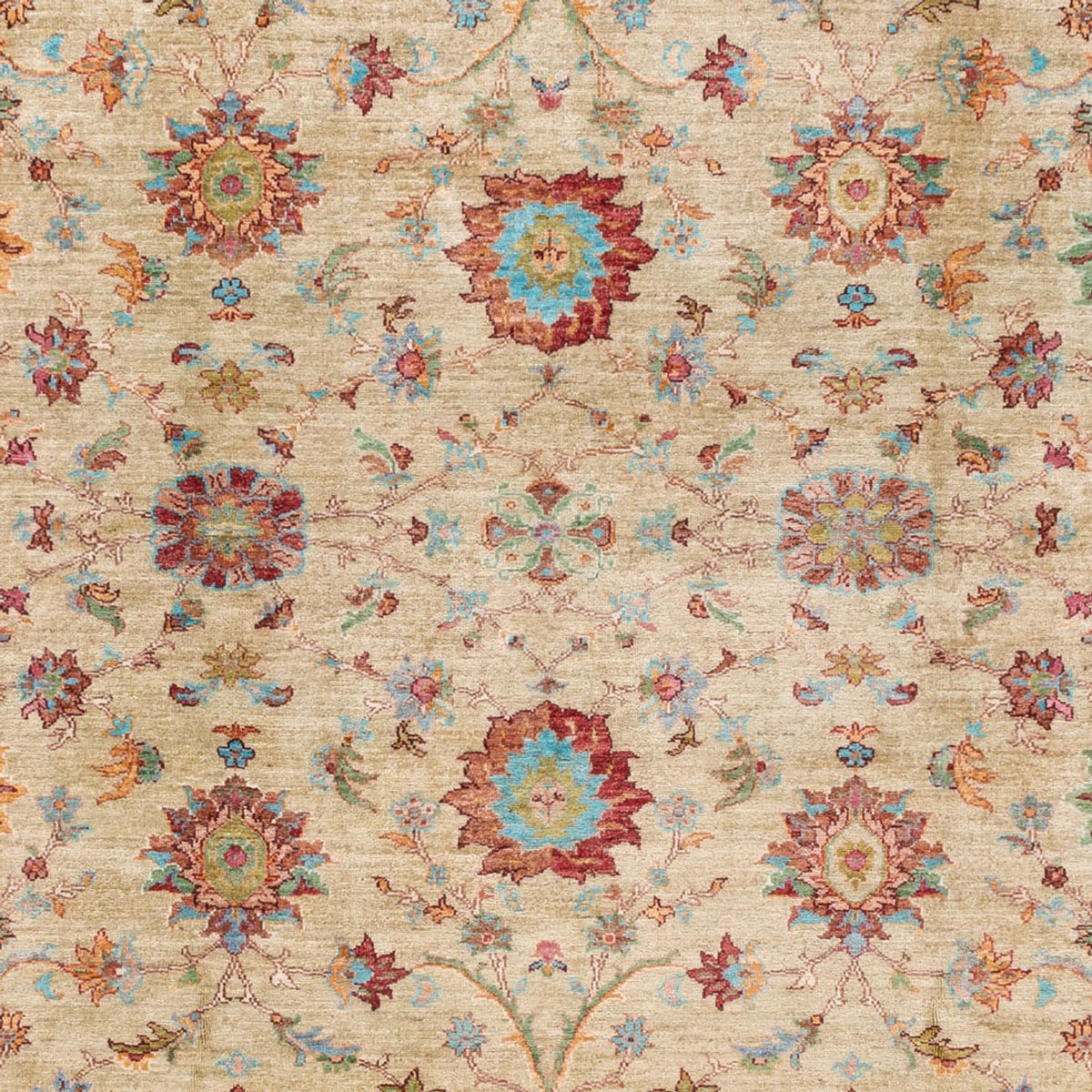 Alfombra Ziegler - Ariana - 300 x 242 cm - beige