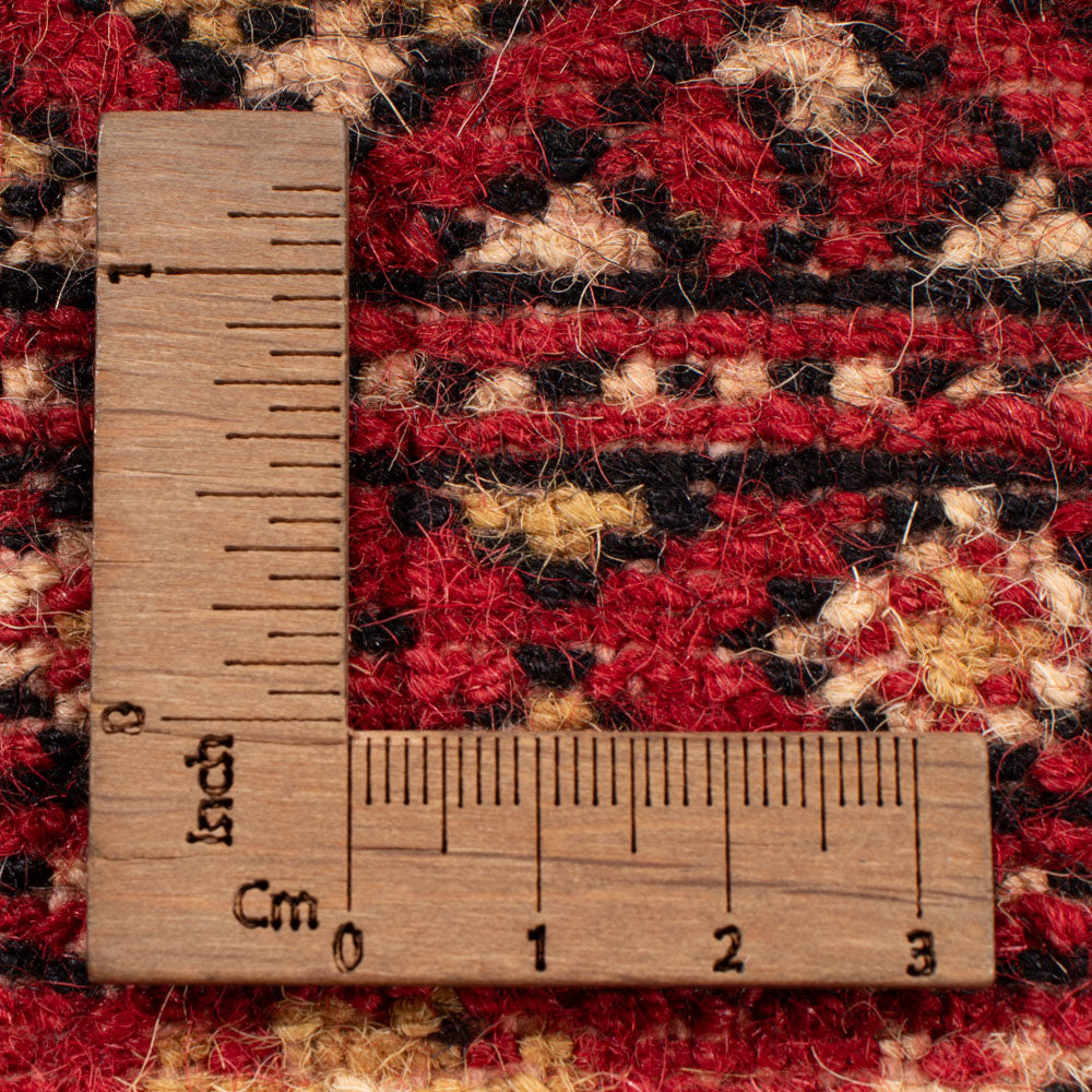 Alfombra Pakistani - 241 x 173 cm - rojo