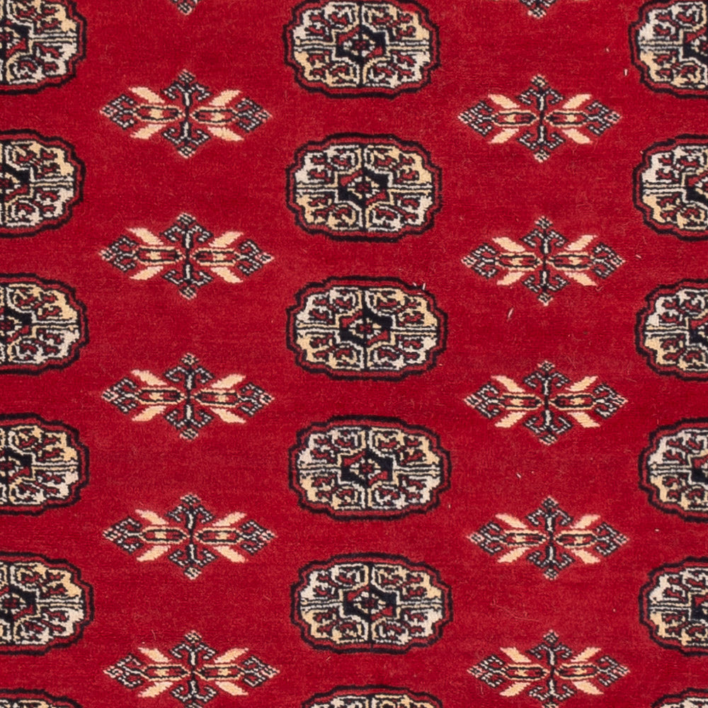 Alfombra Pakistani - 258 x 179 cm - rojo