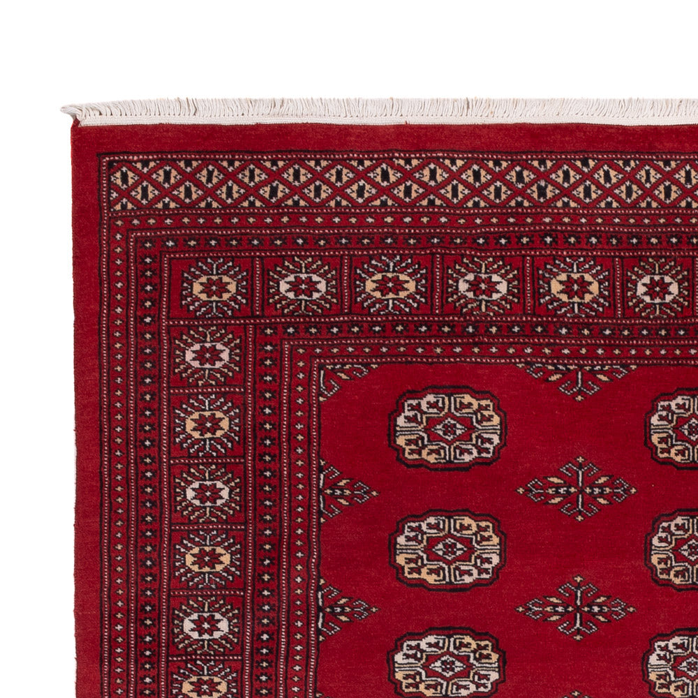 Alfombra Pakistani - 249 x 167 cm - rojo