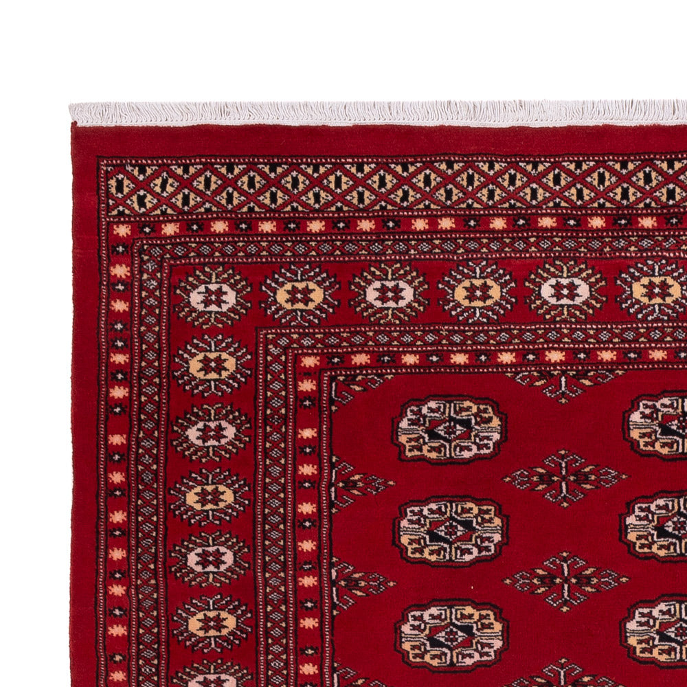 Alfombra Pakistani - 266 x 167 cm - rojo