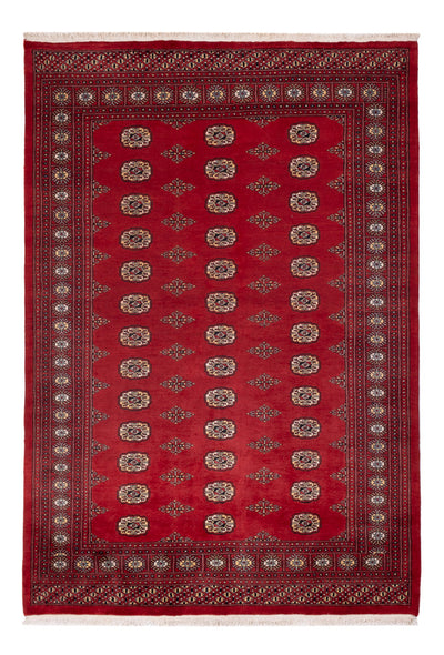 Alfombra Pakistani 165x235cm - Alfombra oriental