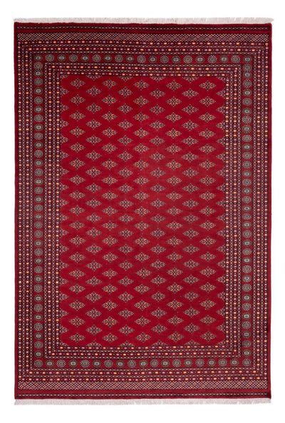 Bukhara Alfombra 249x365cm - Alfombra oriental