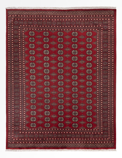 Alfombra Pakistani 248x318cm - Alfombra oriental