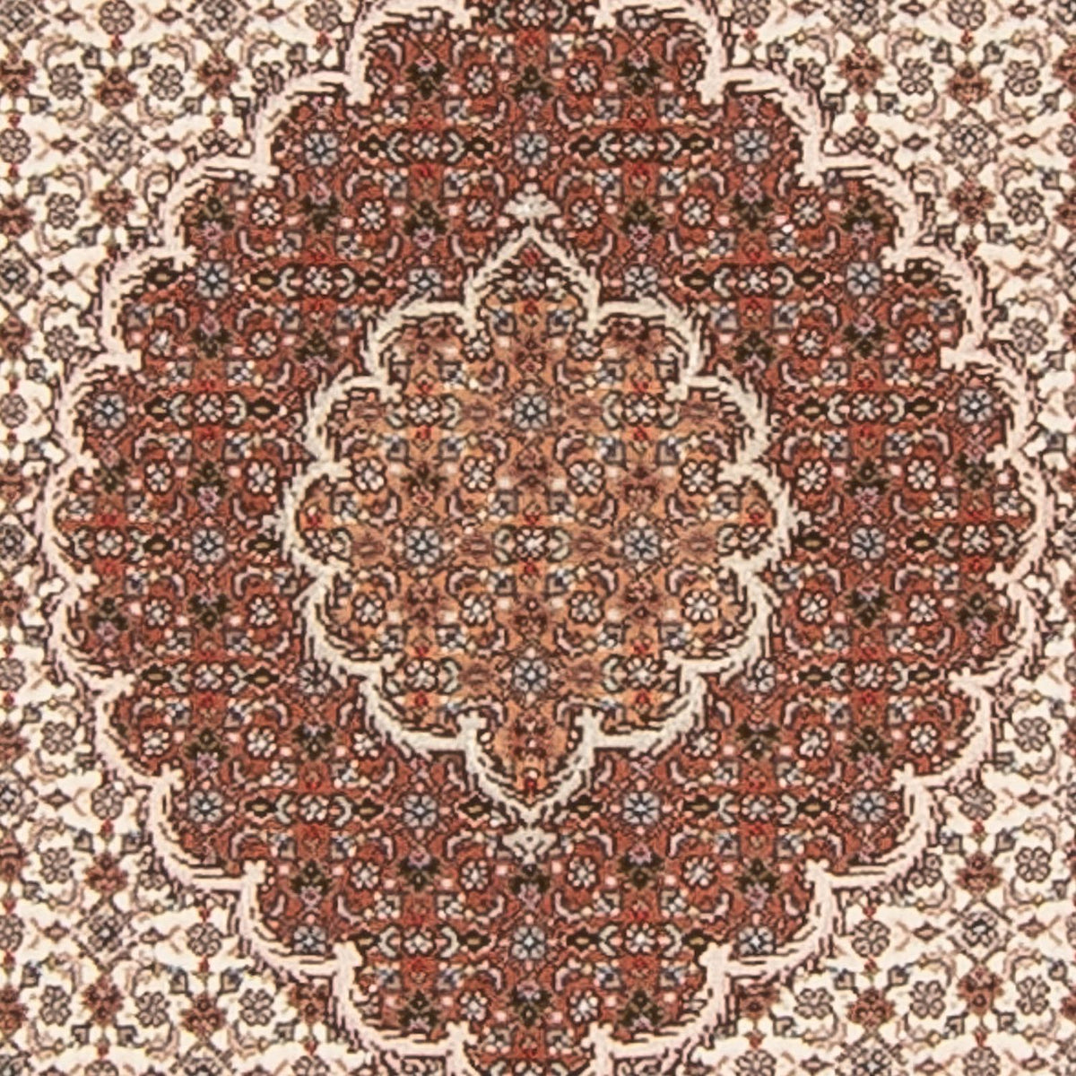 Alfombra de pasillo Alfombra Persa - Tabriz - Real - 212 x 82 cm - beige