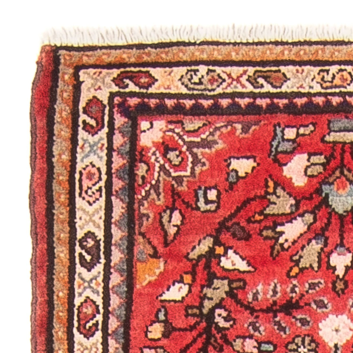 Alfombra de pasillo Alfombra persa - Nómada - 177 x 62 cm - rojo