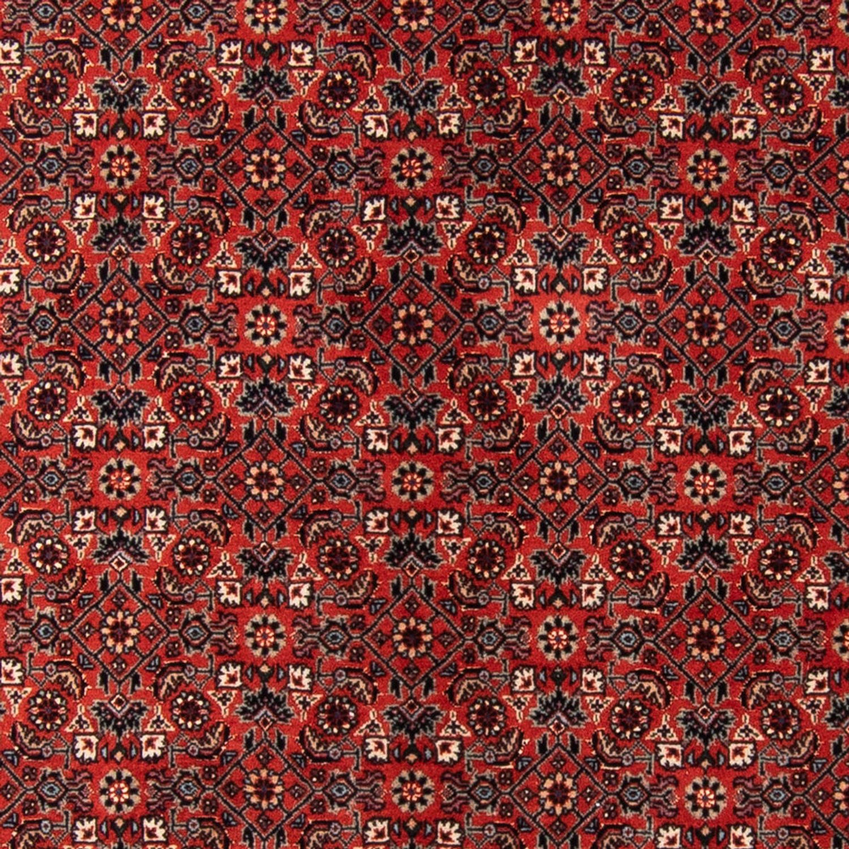 Alfombra de pasillo Alfombra persa - Bidjar - 205 x 102 cm - rojo