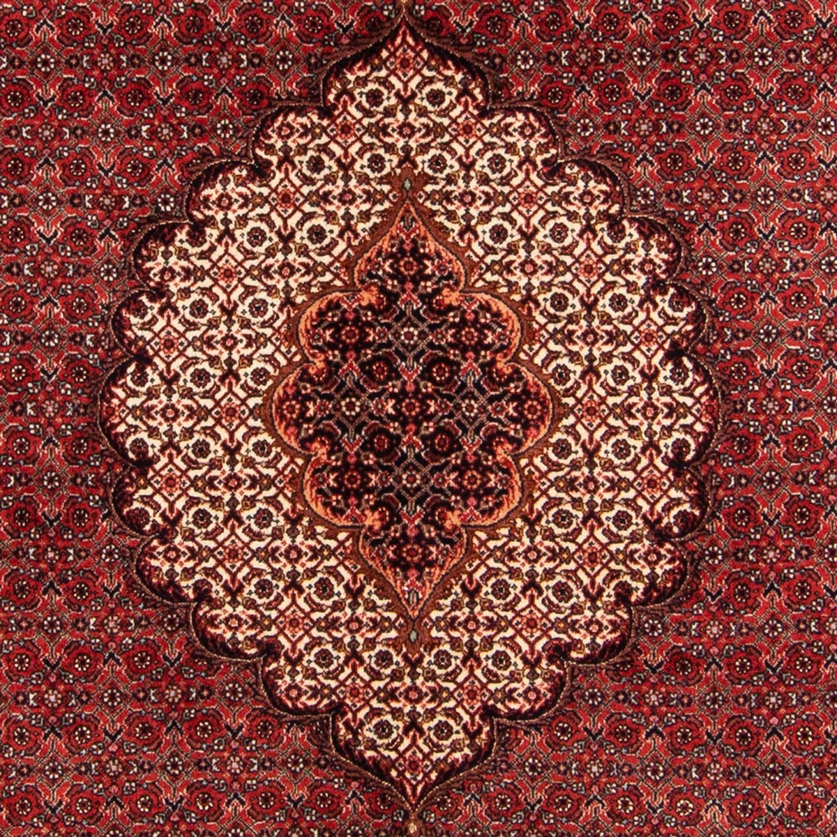 Alfombra persa - Bidjar - 209 x 153 cm - rojo
