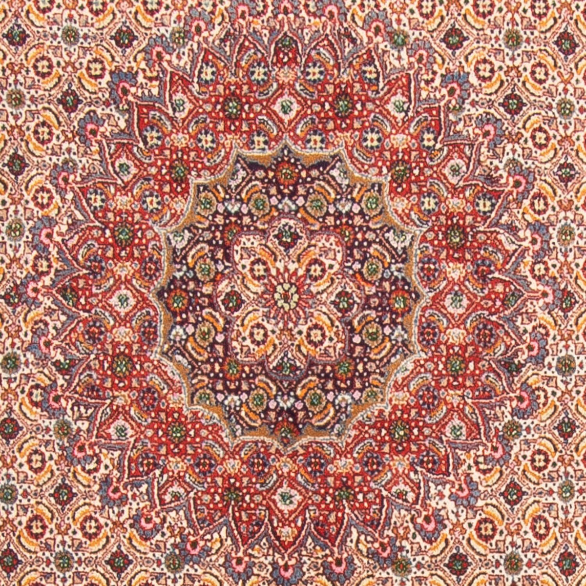 Alfombra persa - Clásica cuadrado  - 198 x 193 cm - beige