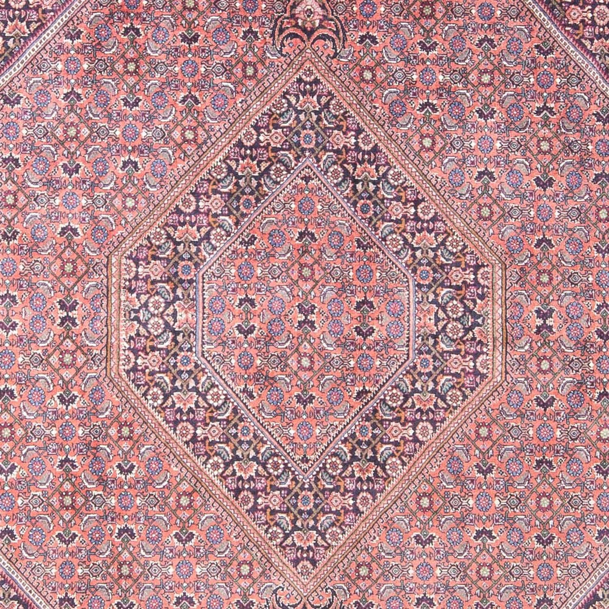 Alfombra persa - Bidjar - 240 x 145 cm - rojo claro