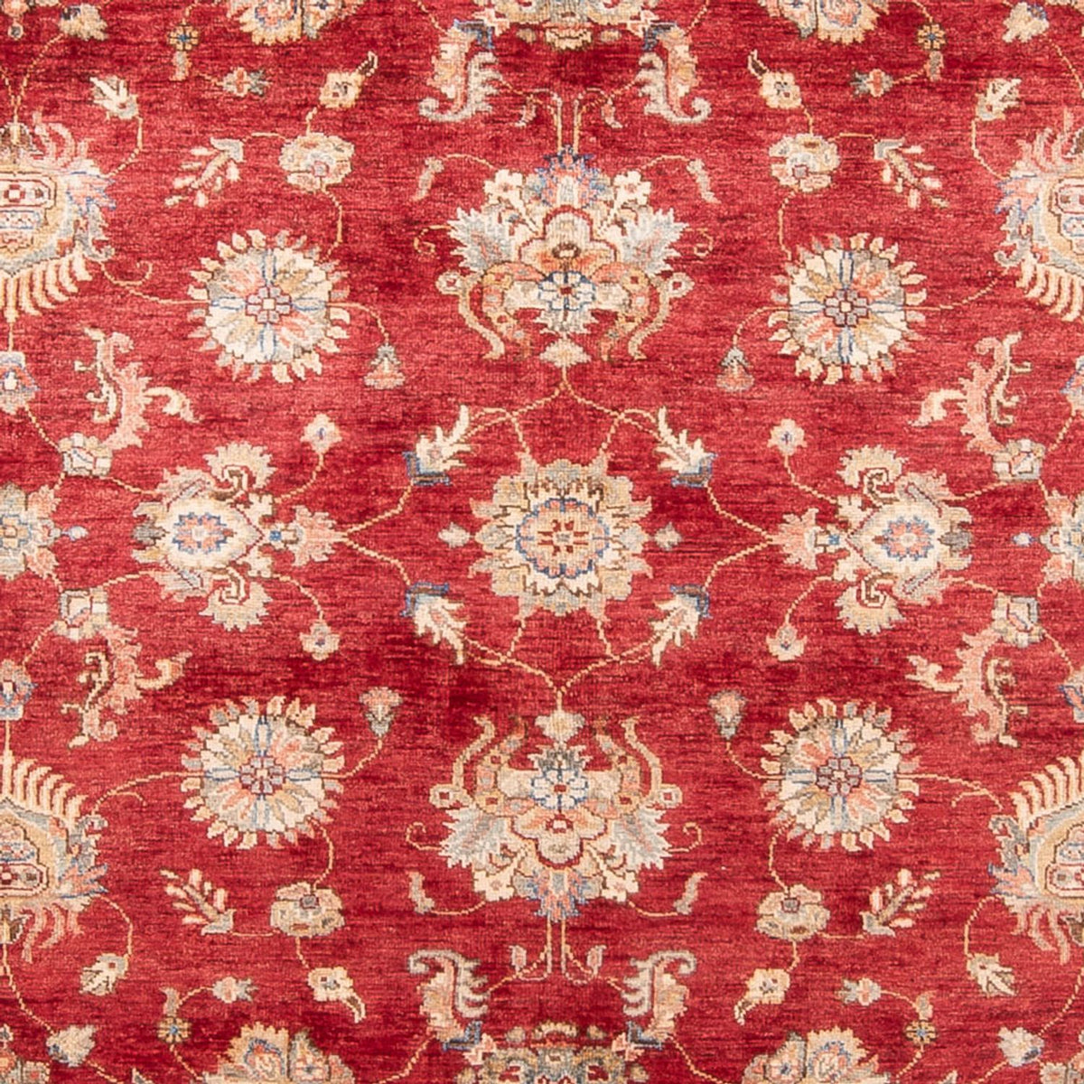 Alfombra Ziegler - 298 x 209 cm - rojo