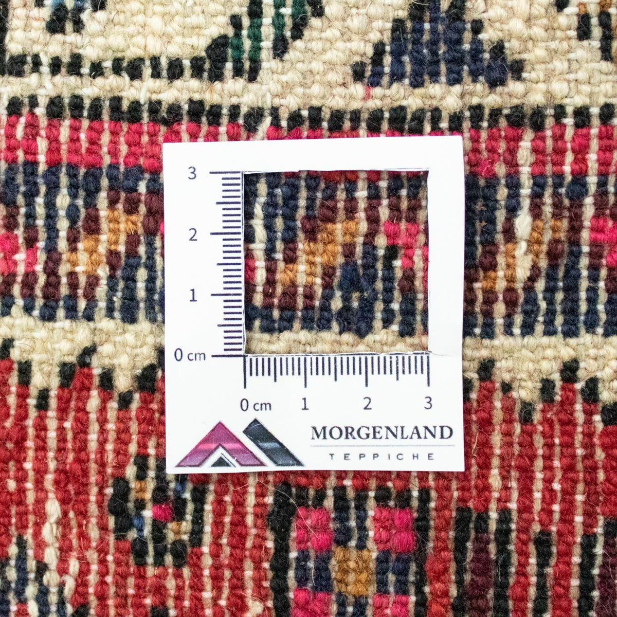 Alfombra de pasillo Alfombra persa - Nómada - 875 x 80 cm - rojo