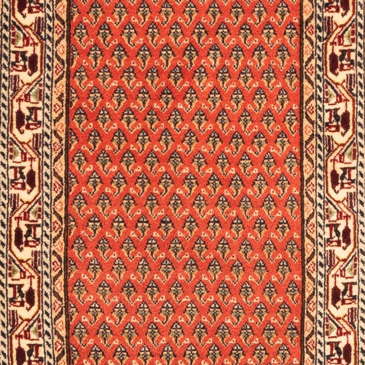 Alfombra de pasillo Alfombra persa - Mir - 348 x 63 cm - rojo