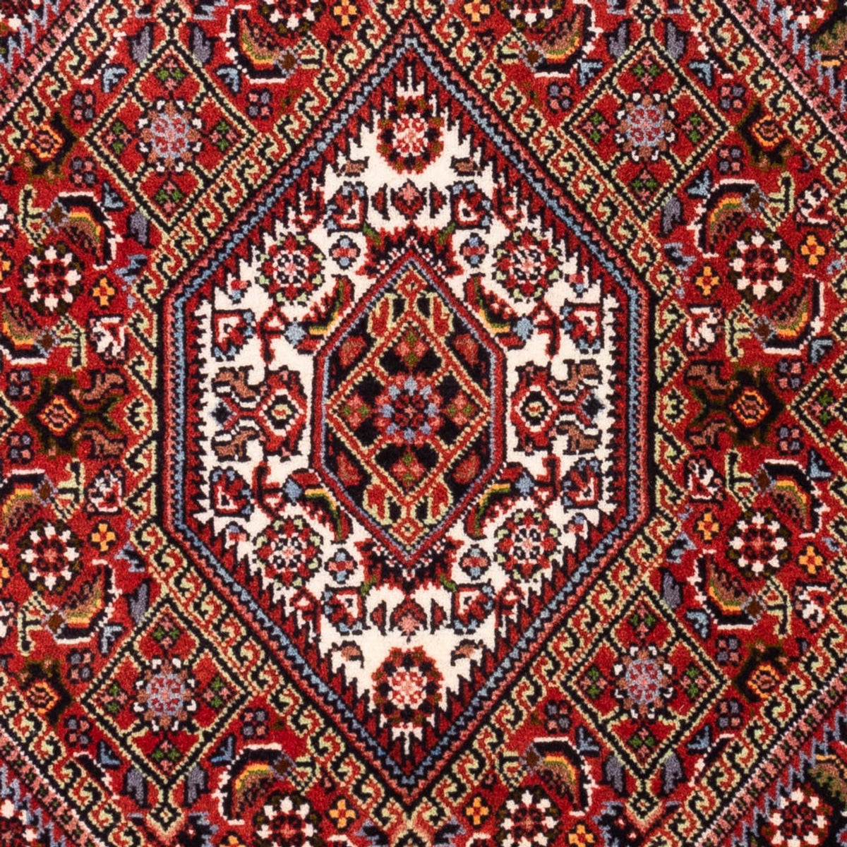 Alfombra persa - Bidjar - 106 x 70 cm - rojo