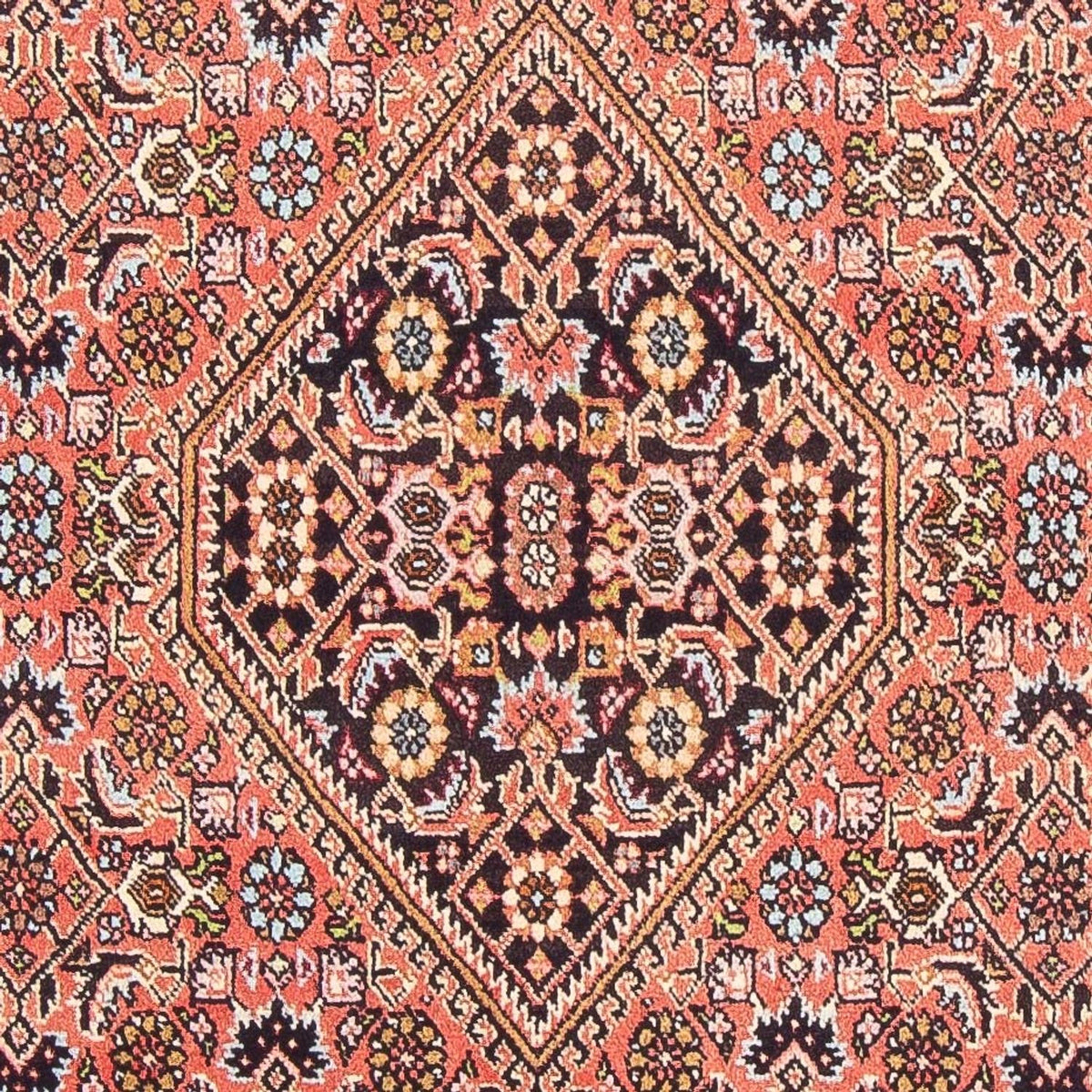 Alfombra persa - Bidjar - 155 x 84 cm - rojo
