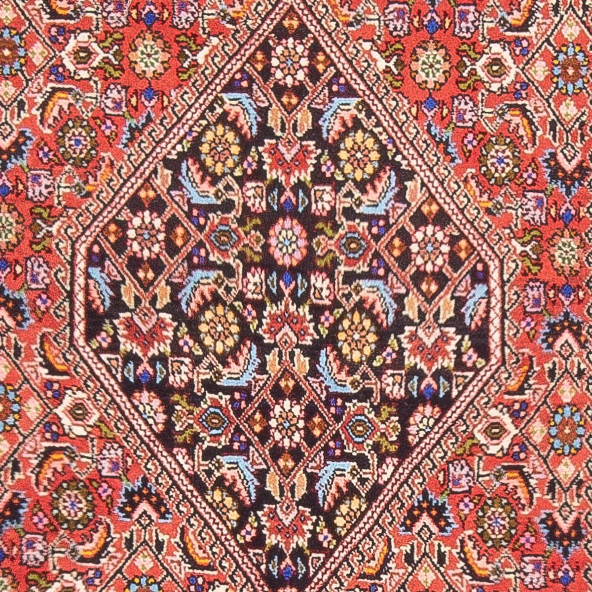 Alfombra persa - Bidjar - 165 x 84 cm - rojo
