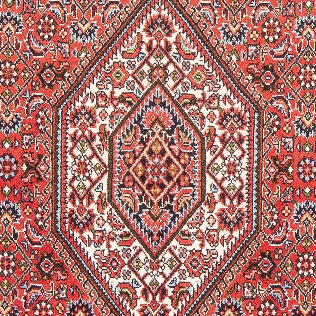 Alfombra persa - Bidjar - 155 x 85 cm - rojo