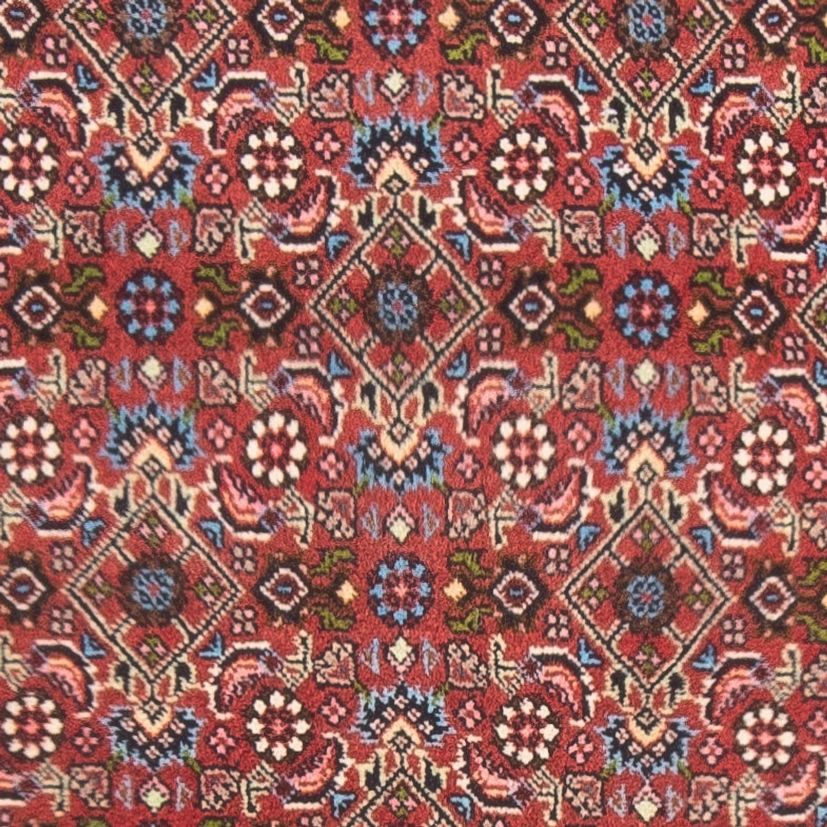 Alfombra persa - Bidjar - 143 x 81 cm - rojo