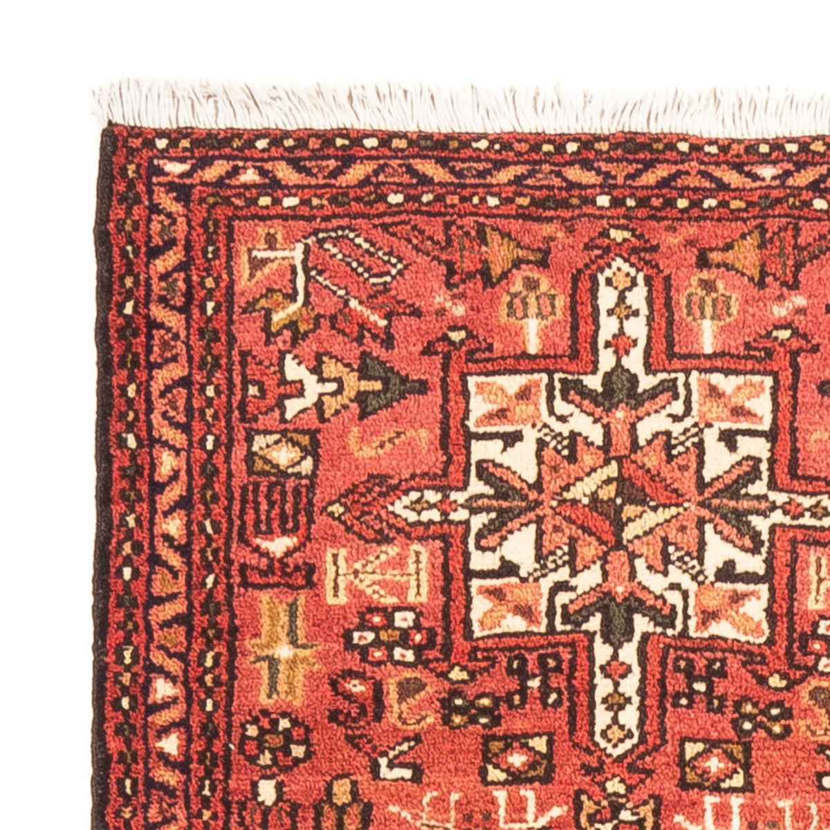 Alfombra de pasillo Alfombra persa - Nómada - 154 x 70 cm - rojo