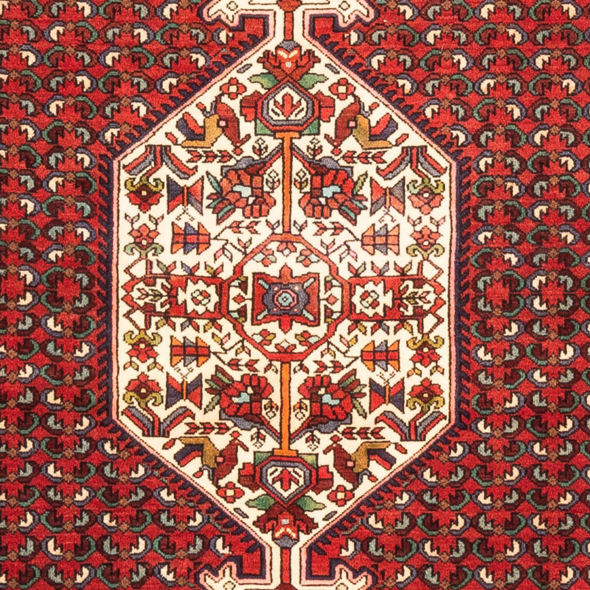 Alfombra persa - Nómada - 170 x 108 cm - rojo