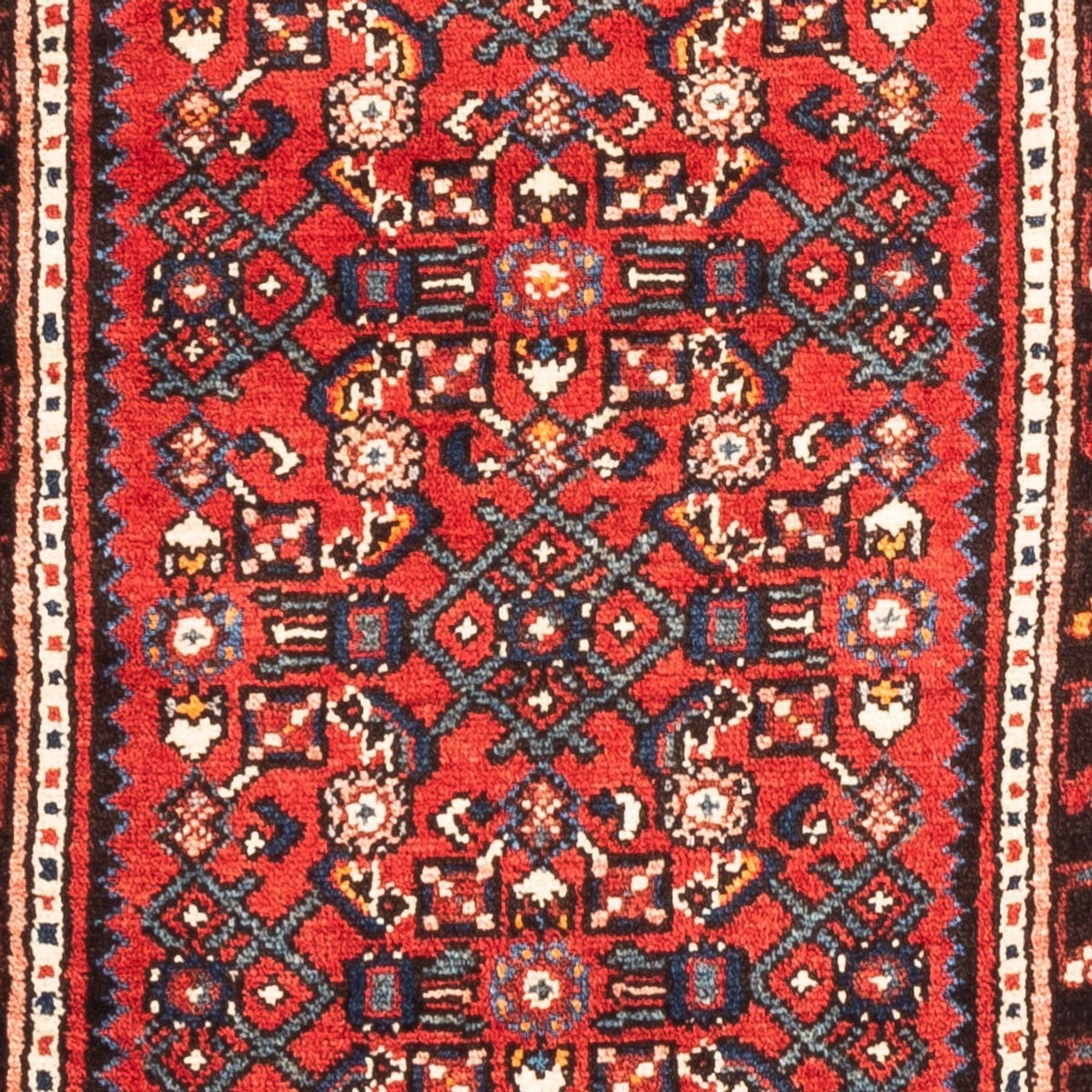 Alfombra de pasillo Alfombra persa - Nómada - 192 x 68 cm - rojo
