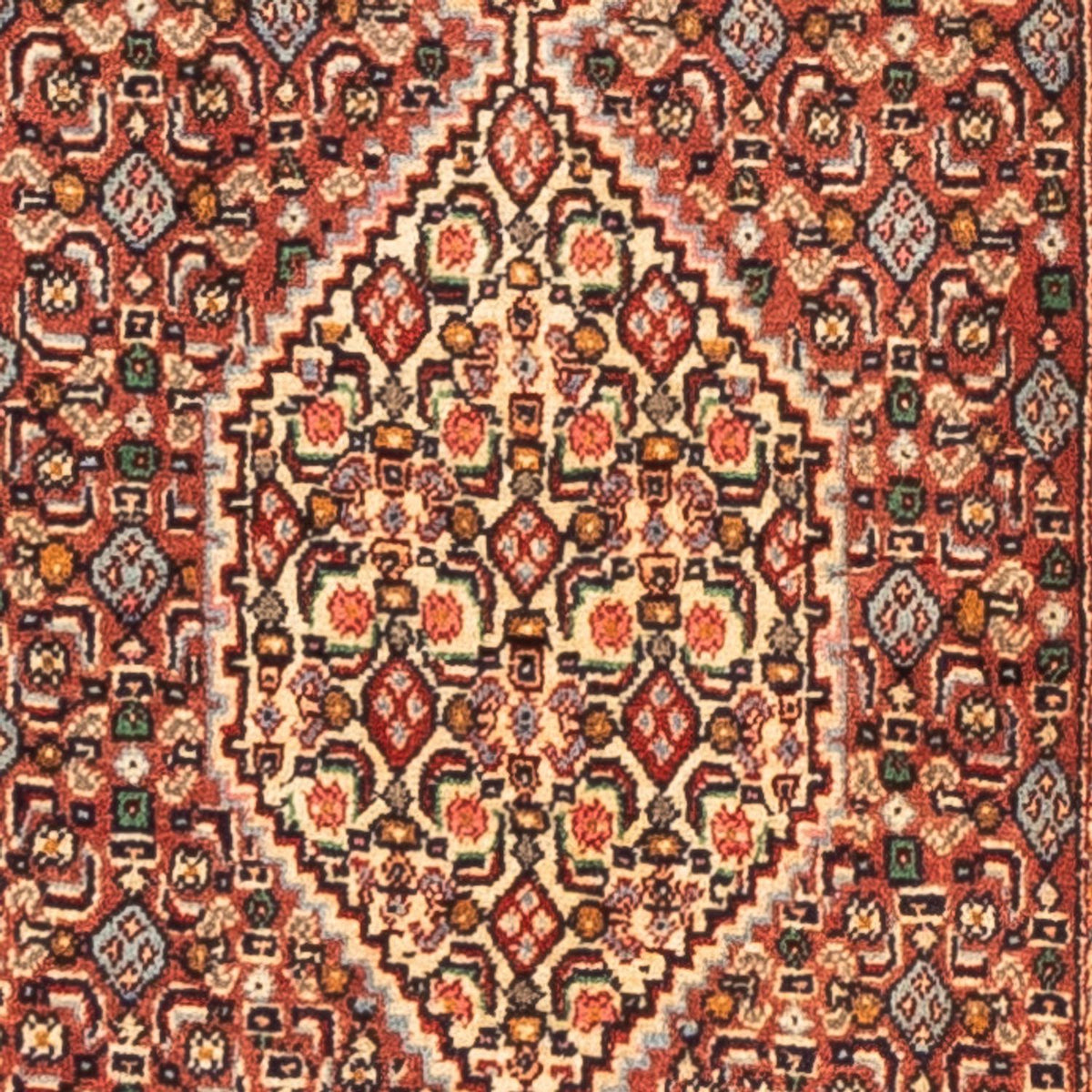 Alfombra de pasillo Alfombra persa - Clásica - 252 x 52 cm - rojo