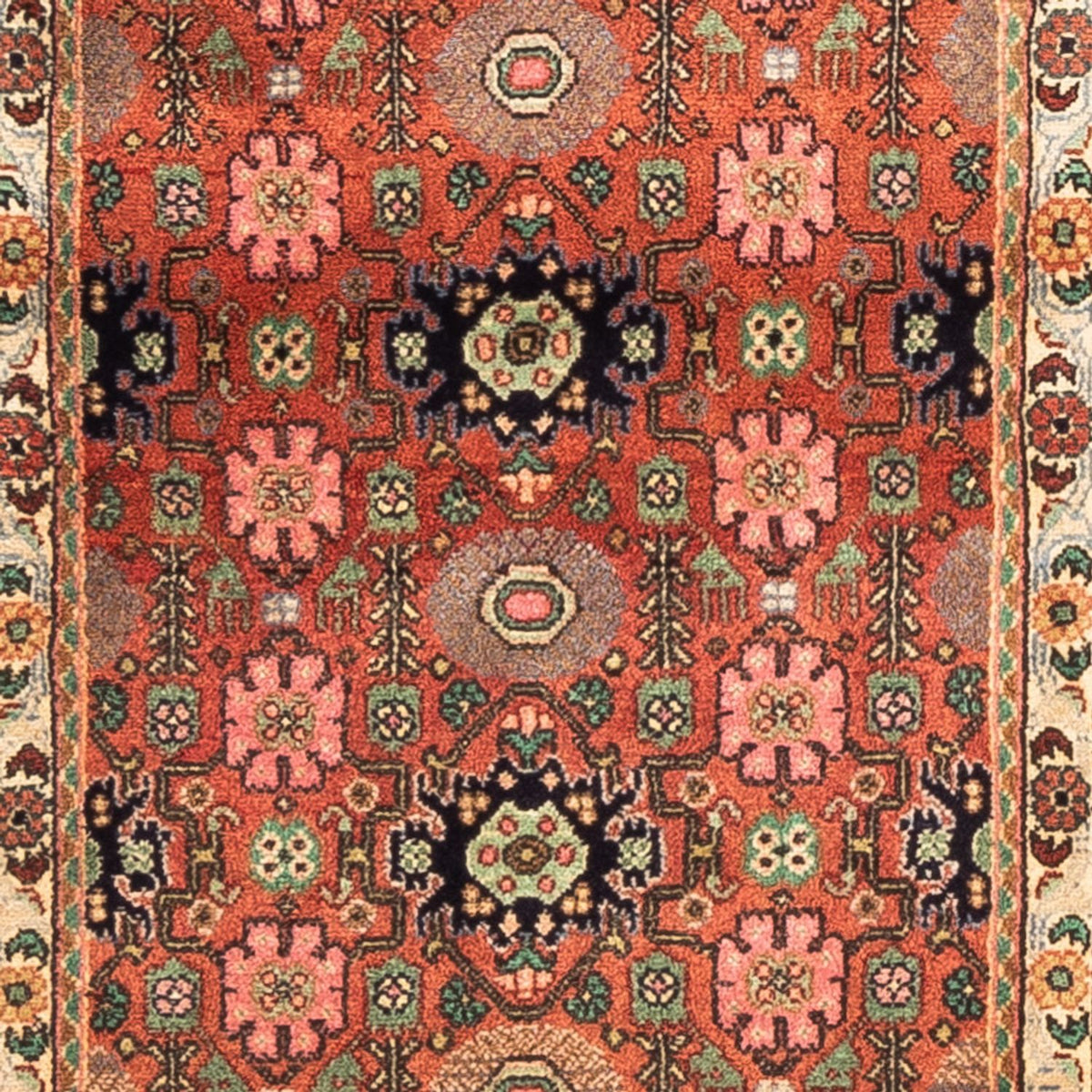 Alfombra de pasillo Alfombra persa - Clásica - 254 x 50 cm - rojo