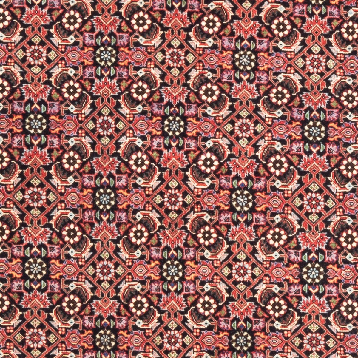 Alfombra de pasillo Alfombra persa - Bidjar - 189 x 82 cm - rojo claro