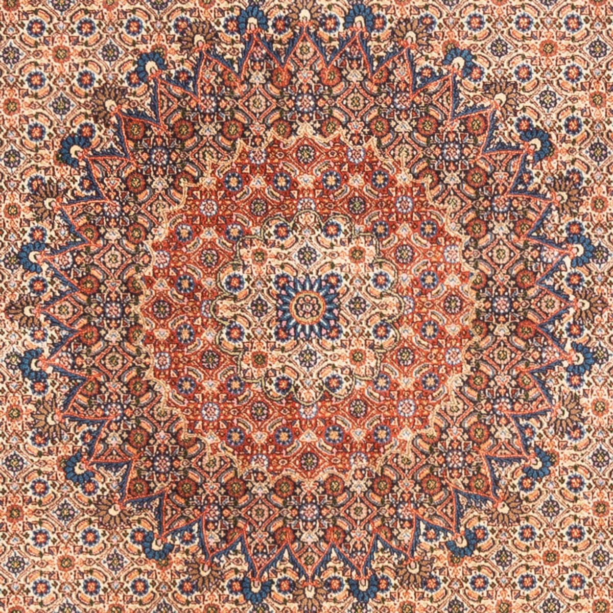 Alfombra persa - Clásica - 244 x 194 cm - beige oscuro
