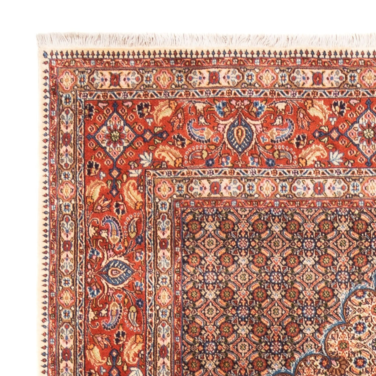 Alfombra persa - Clásica - 244 x 194 cm - beige oscuro