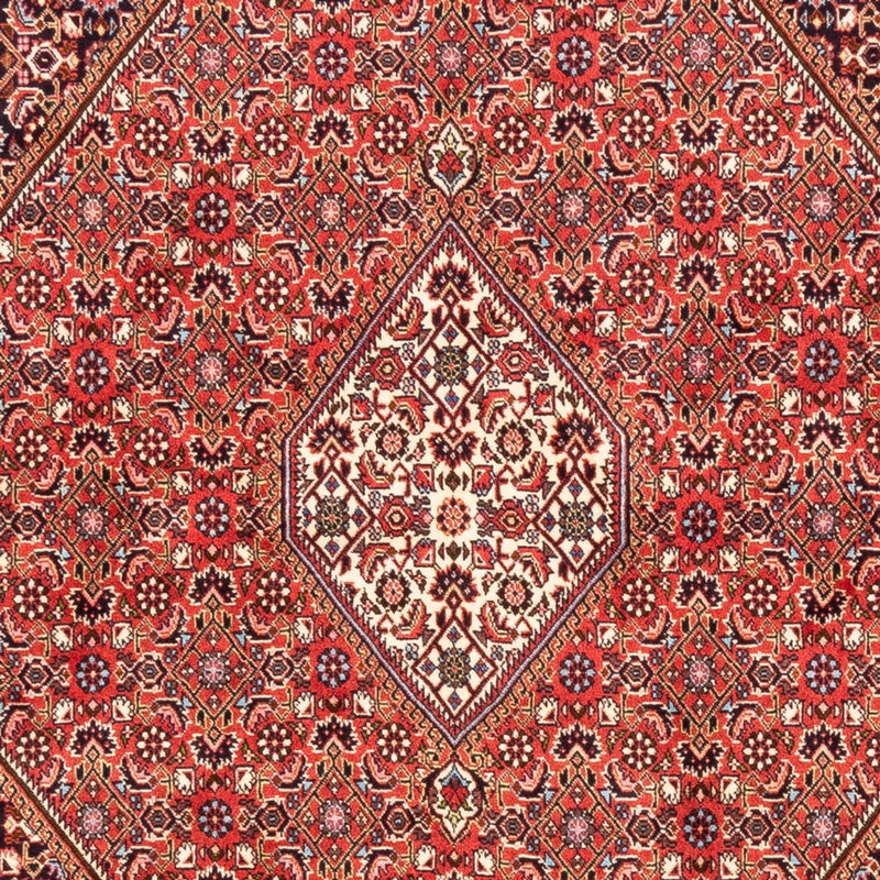 Alfombra persa - Bidjar - 232 x 171 cm - rojo