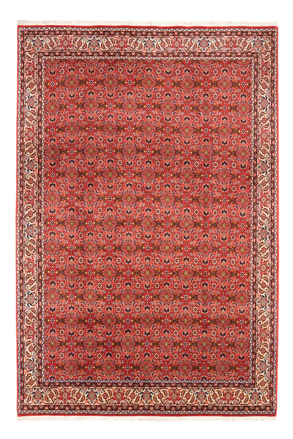 Alfombra persa - Bidjar - 242 x 168 cm - rojo