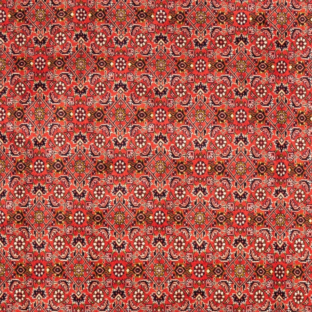 Alfombra persa - Bidjar - 242 x 168 cm - rojo