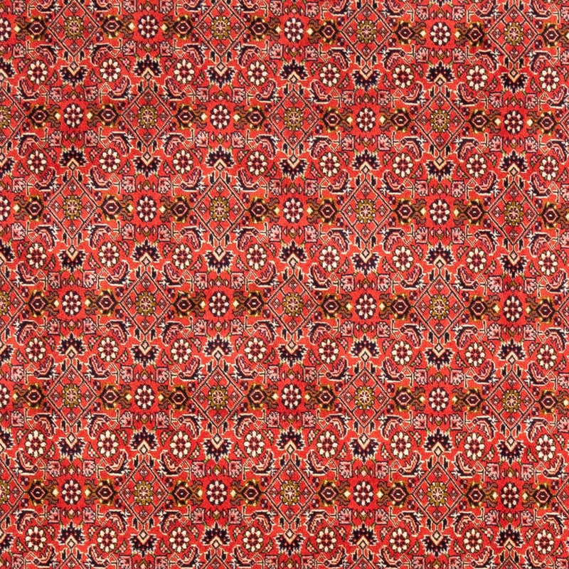 Alfombra persa - Bidjar - 242 x 168 cm - rojo