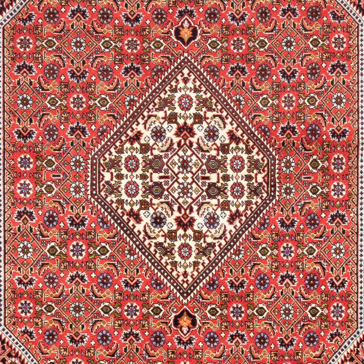 Alfombra persa - Bidjar - 247 x 168 cm - rojo