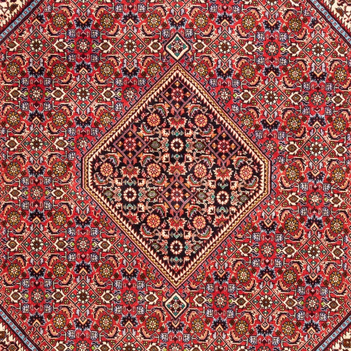 Alfombra persa - Bidjar - 247 x 171 cm - rojo
