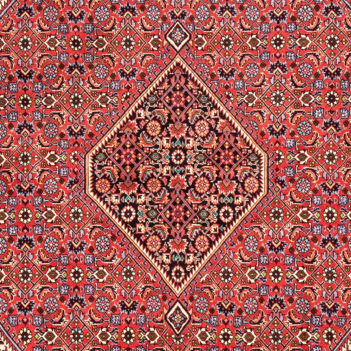 Alfombra persa - Bidjar - 245 x 170 cm - rojo