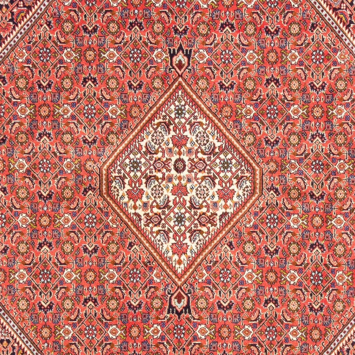 Alfombra persa - Bidjar - 244 x 168 cm - rojo