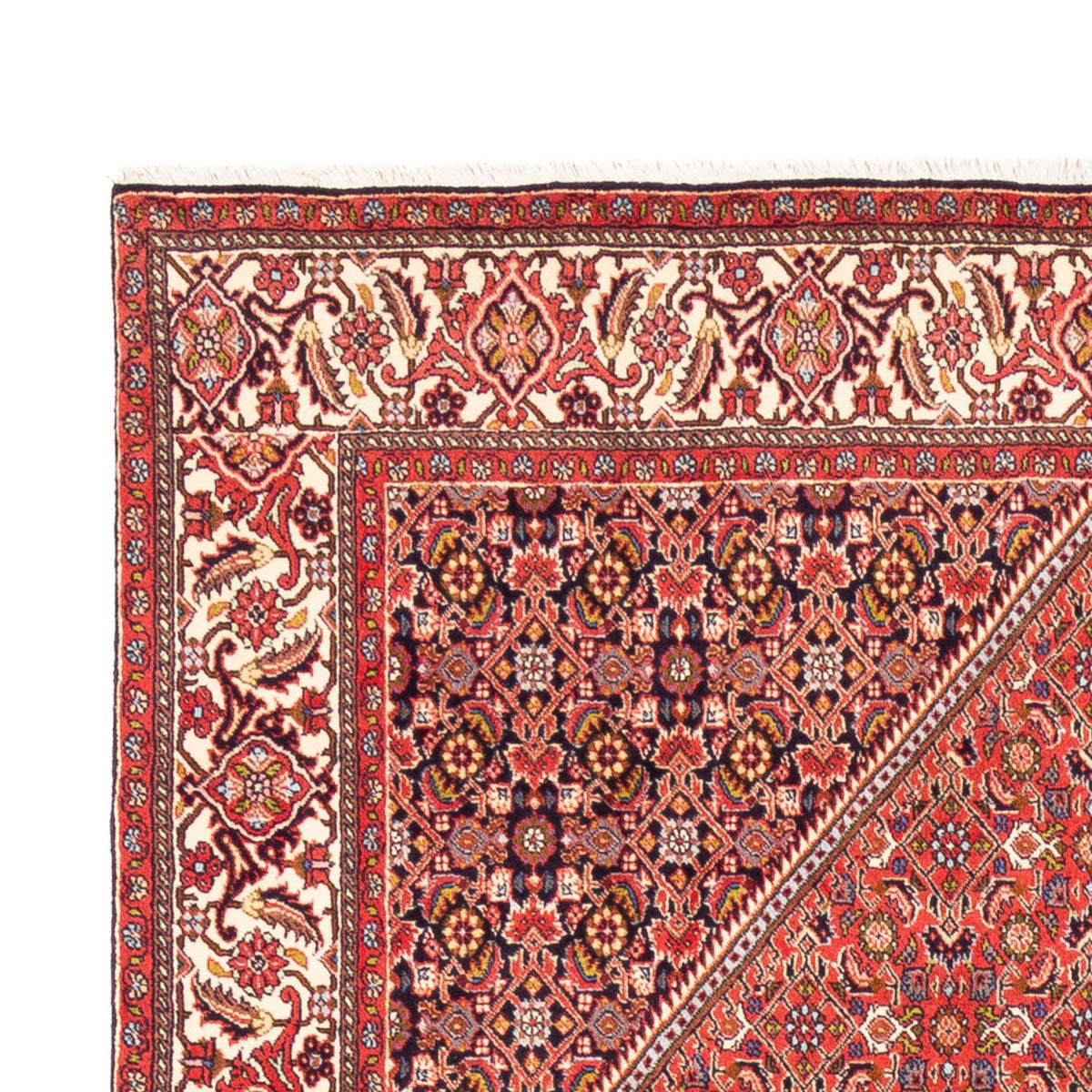 Alfombra persa - Bidjar - 244 x 168 cm - rojo
