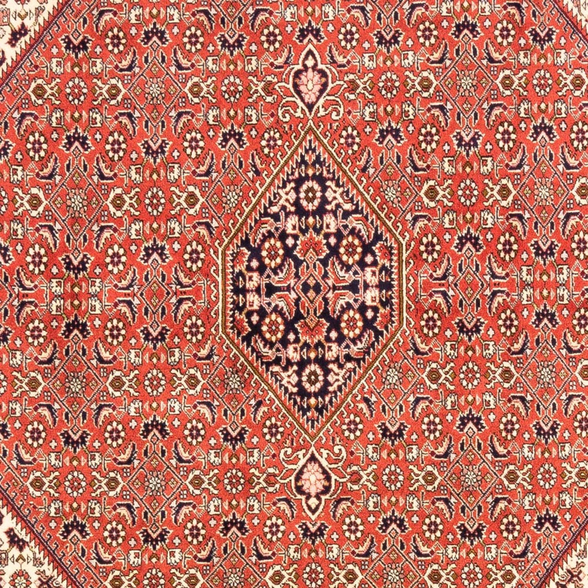 Alfombra persa - Bidjar - 238 x 171 cm - rojo