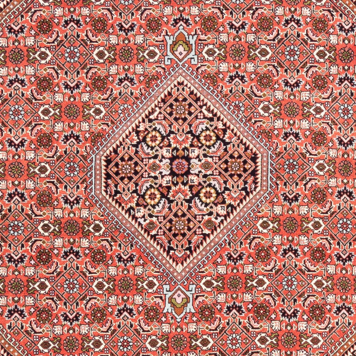 Alfombra persa - Bidjar - 235 x 168 cm - rojo