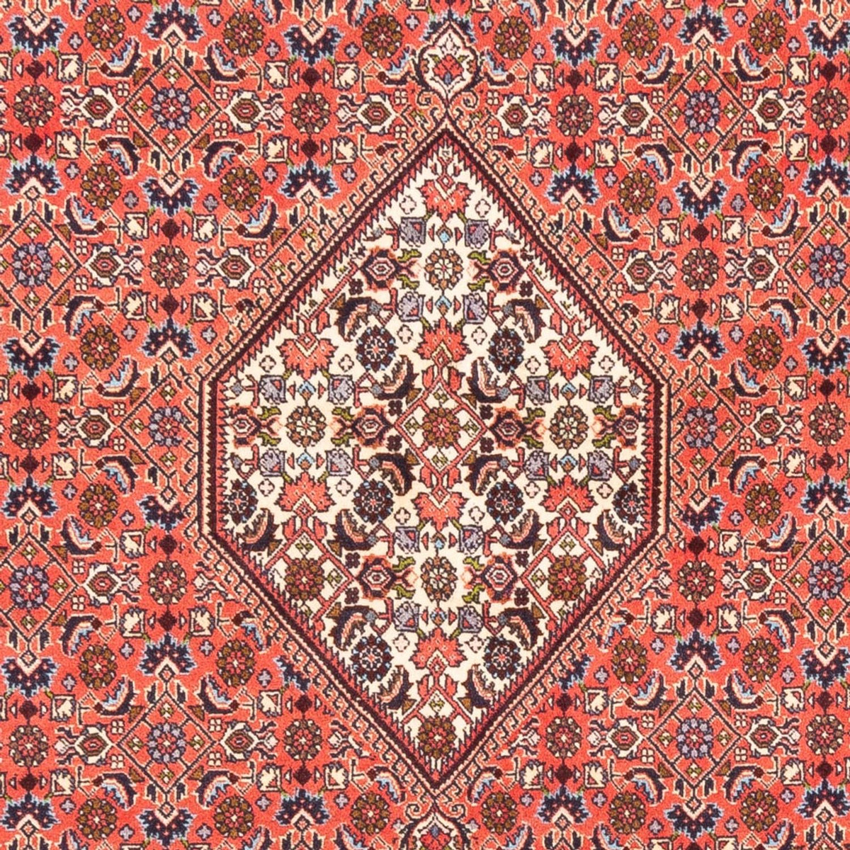 Alfombra persa - Bidjar - 242 x 170 cm - rojo