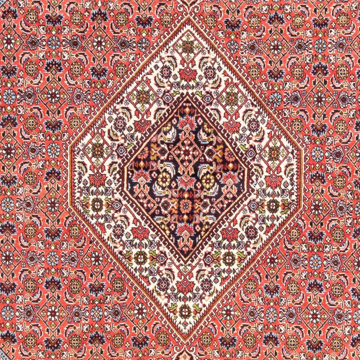 Alfombra persa - Bidjar - 243 x 170 cm - rojo