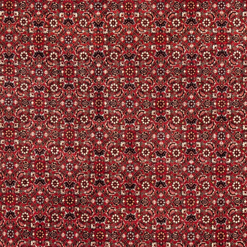 Alfombra persa - Bidjar - 238 x 178 cm - rojo